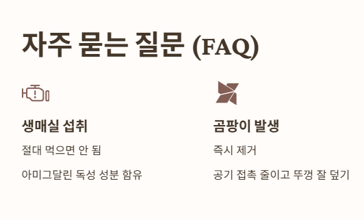 매실 관련 자주 묻는 질문 (FAQ)