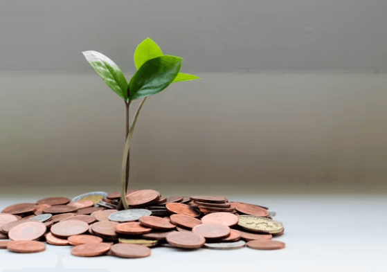 &#39;심리&#39;를 이겨야 투자 성공! 흔들리지 않는 3가지 전략