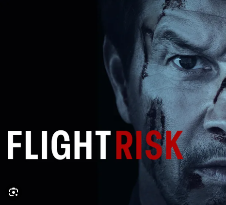 플라이트 리스크 2025 정보 출연진 줄거리 결말 멜깁슨 연출 스포주의