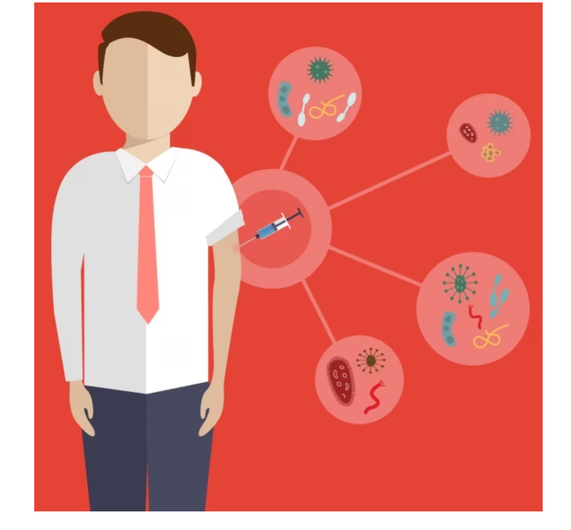 급성염증 이미지