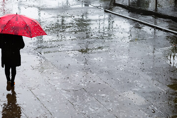 제 9호 태풍 종다리 현재위치 경로 및 위험도 - 태풍대비 대책