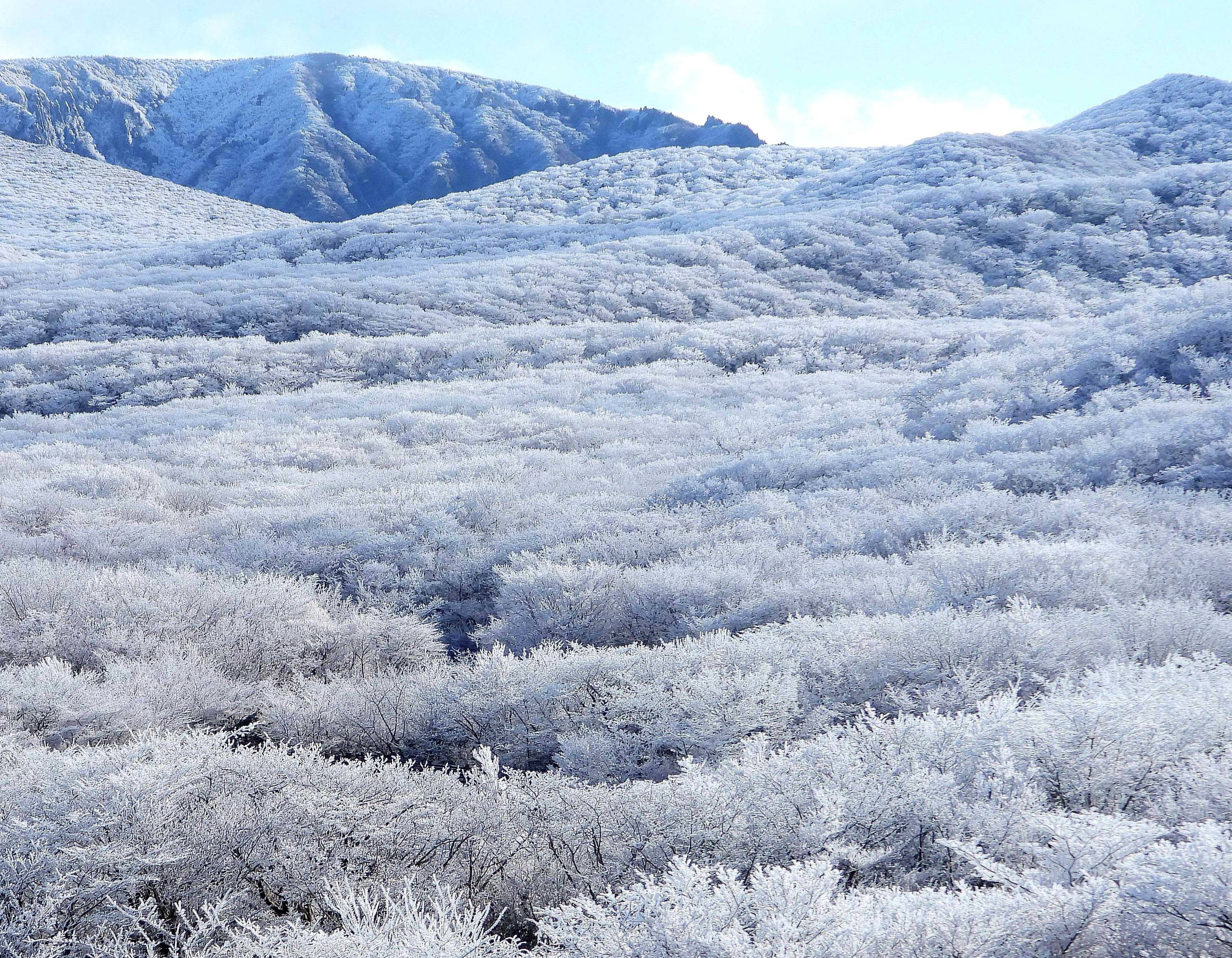 겨울 눈꽃여행 추천 제주 1100고지 설경2