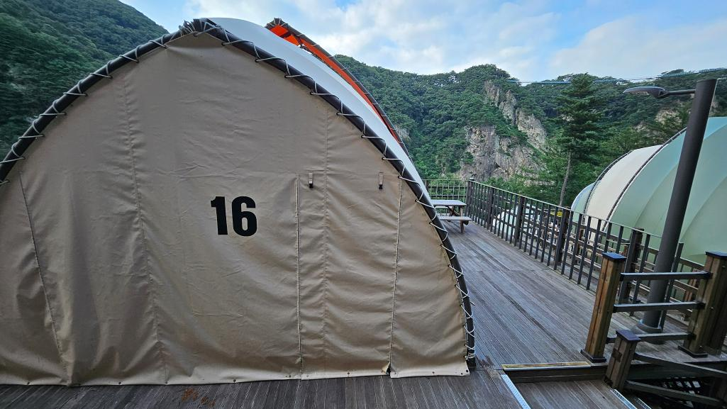 피톤치드 글램핑장