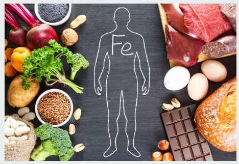 빈혈에 좋은 음식