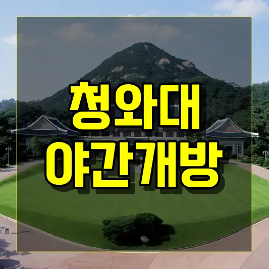 청와대 야간개방