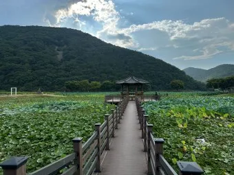 경남 고성 맛집 베스트10 현지인 숨겨진 맛집_3