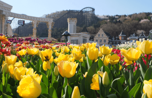 에버랜드 진행하는 이벤트