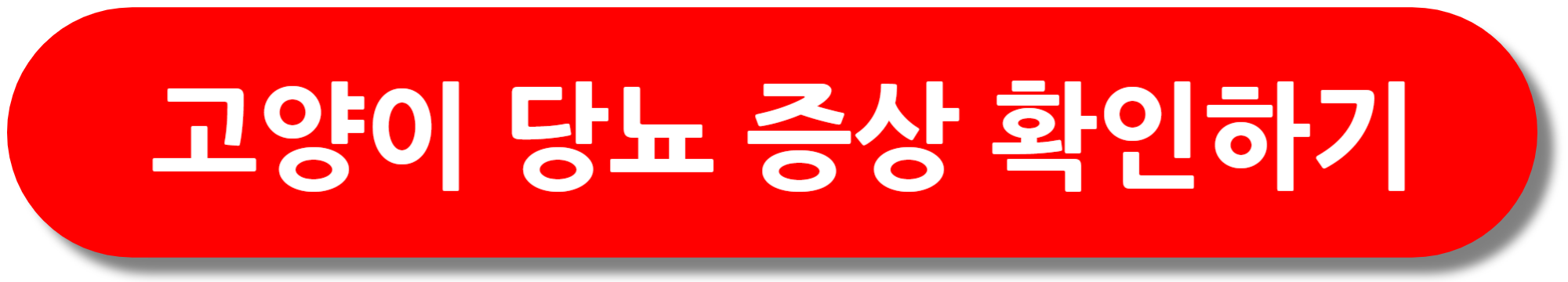 고양이-당뇨-증상