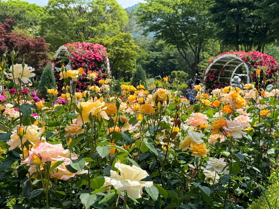 서울대공원