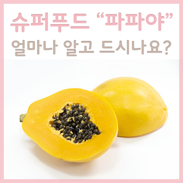 파파야-절단-모습
