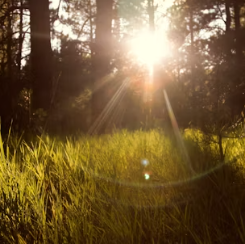 비타민D 부족 증상 섭취방법 많은 음식