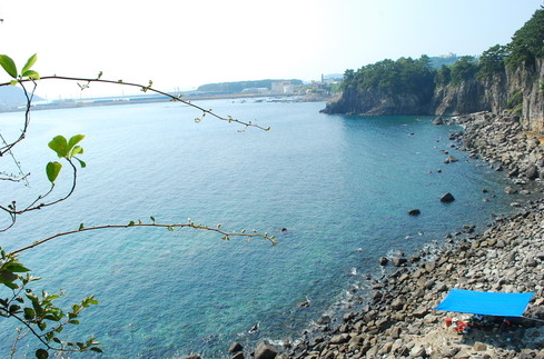 제주도 가볼만한곳 추천 베스트 10 (꼭 가봐야할 곳!)
