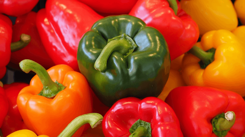 파프리카 사진 - 2