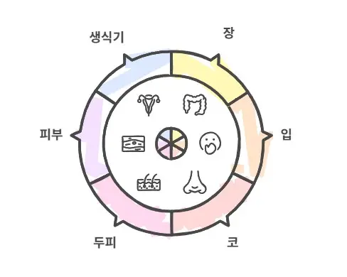 마이크로바이옴-위치