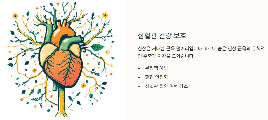 심혈관에 대한 효과 이미지