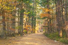 오대산 단풍 드라이브 코스