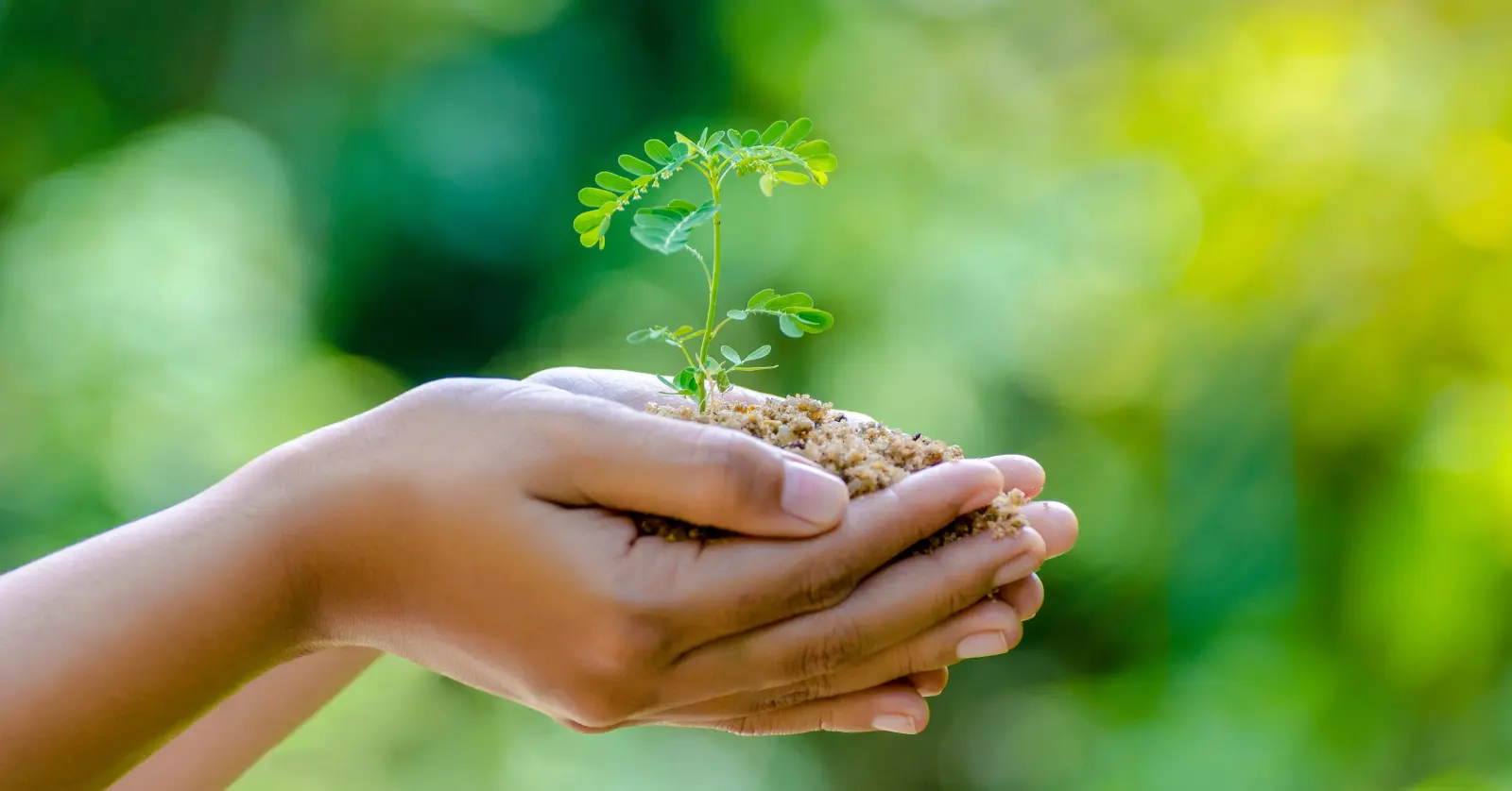 음식물처리기 지원금이란?