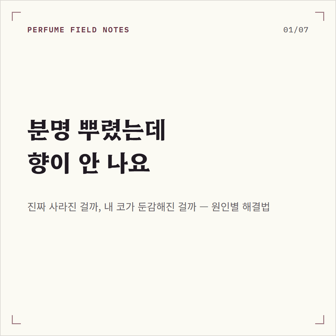 노즈블라인드 사진
