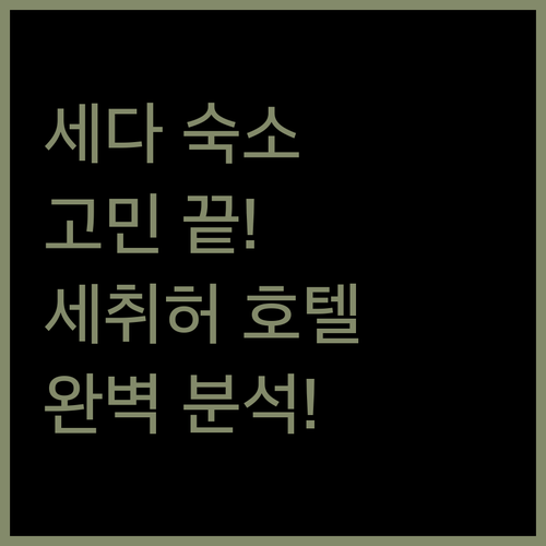 세다 숙소 고민 끝 세 취 허 호텔 ..