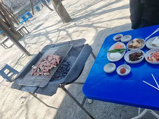 불타는오리