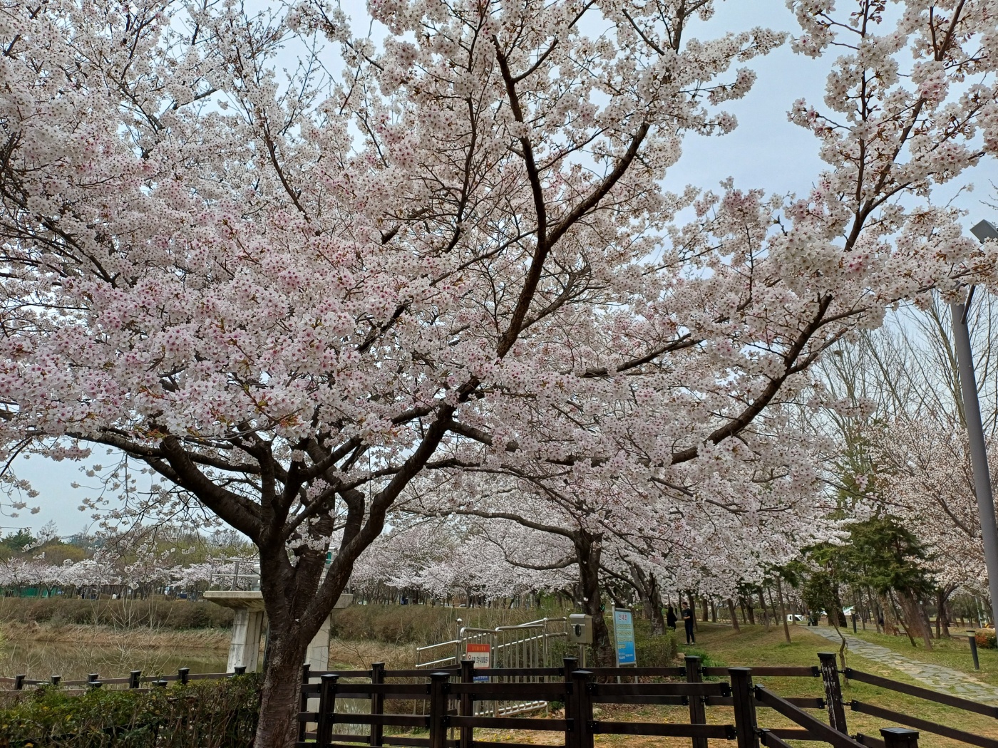 쌍암공원