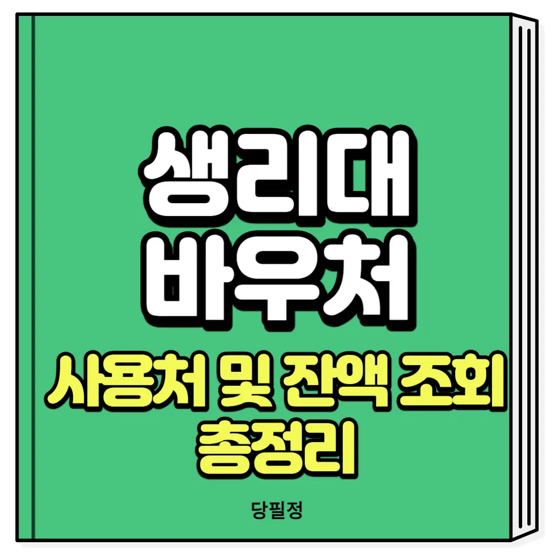 생리대 바우처 사용처 카드 잔액 조회