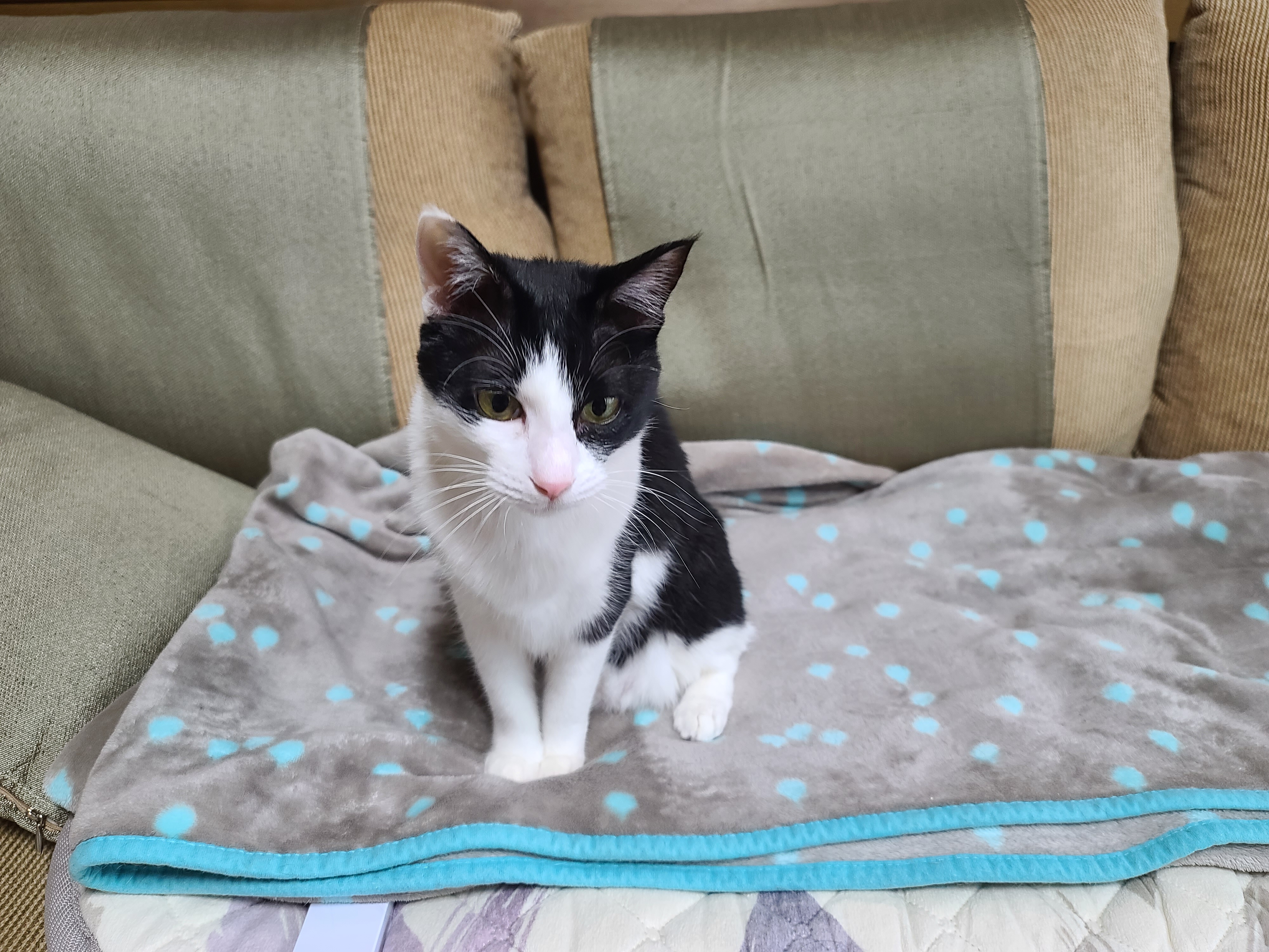 엄마랑 둘이 있어 기분이 좋은 두리