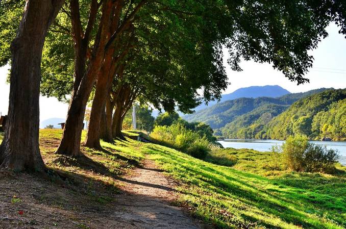 2025 공주 단풍 여행 금강 단풍 산책길 안내