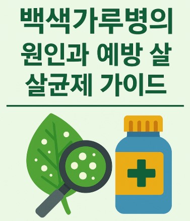 식물 백색가루병의 원인과 예방용 살균제 안내 사진