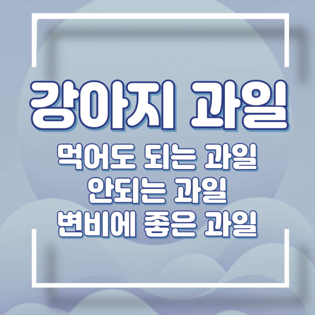 강아지 먹으면 안되는 과일