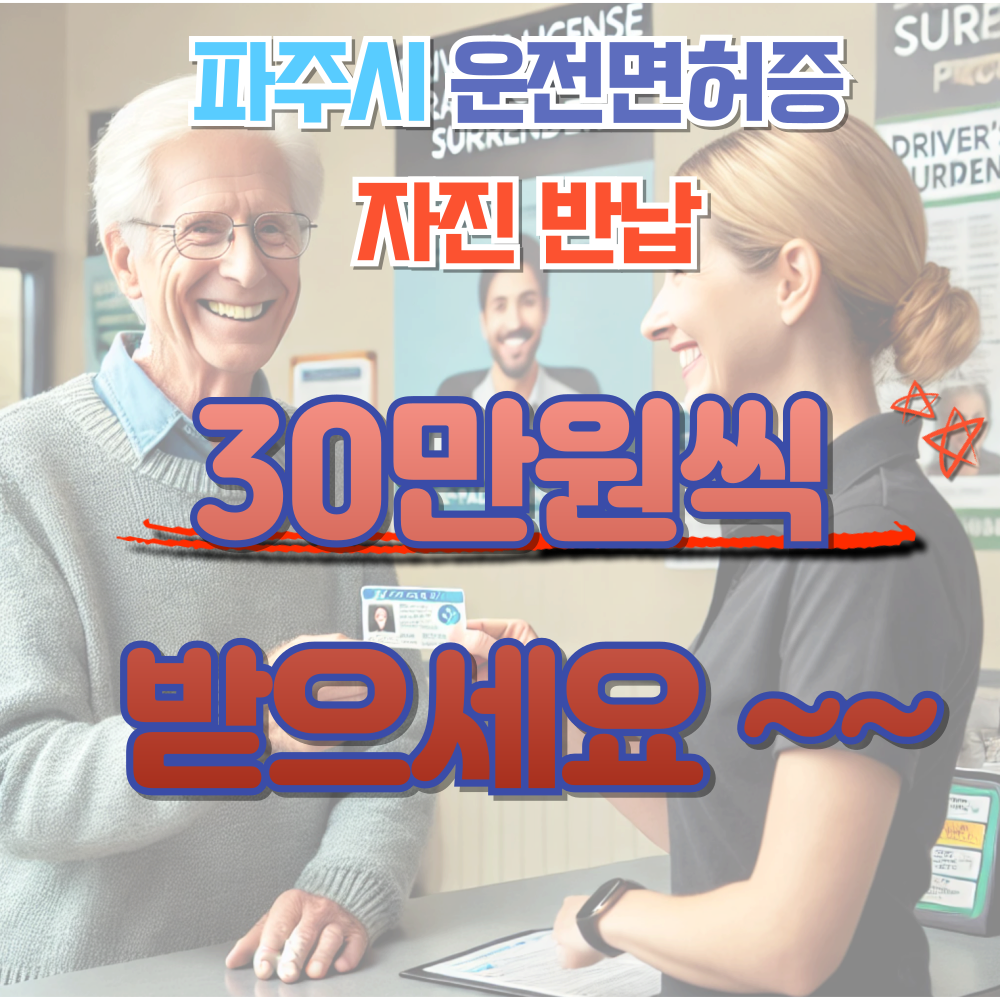 파주시운전면허증자진반납
