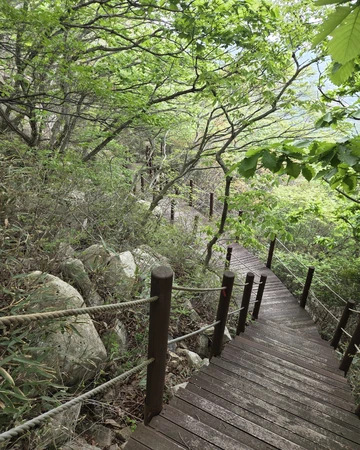 반야굴 입구 주변 산길 풍경중 하산로