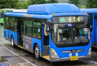대구 시내버스 첫차시간 노선별 운행정보와 이용 꿀팁_8