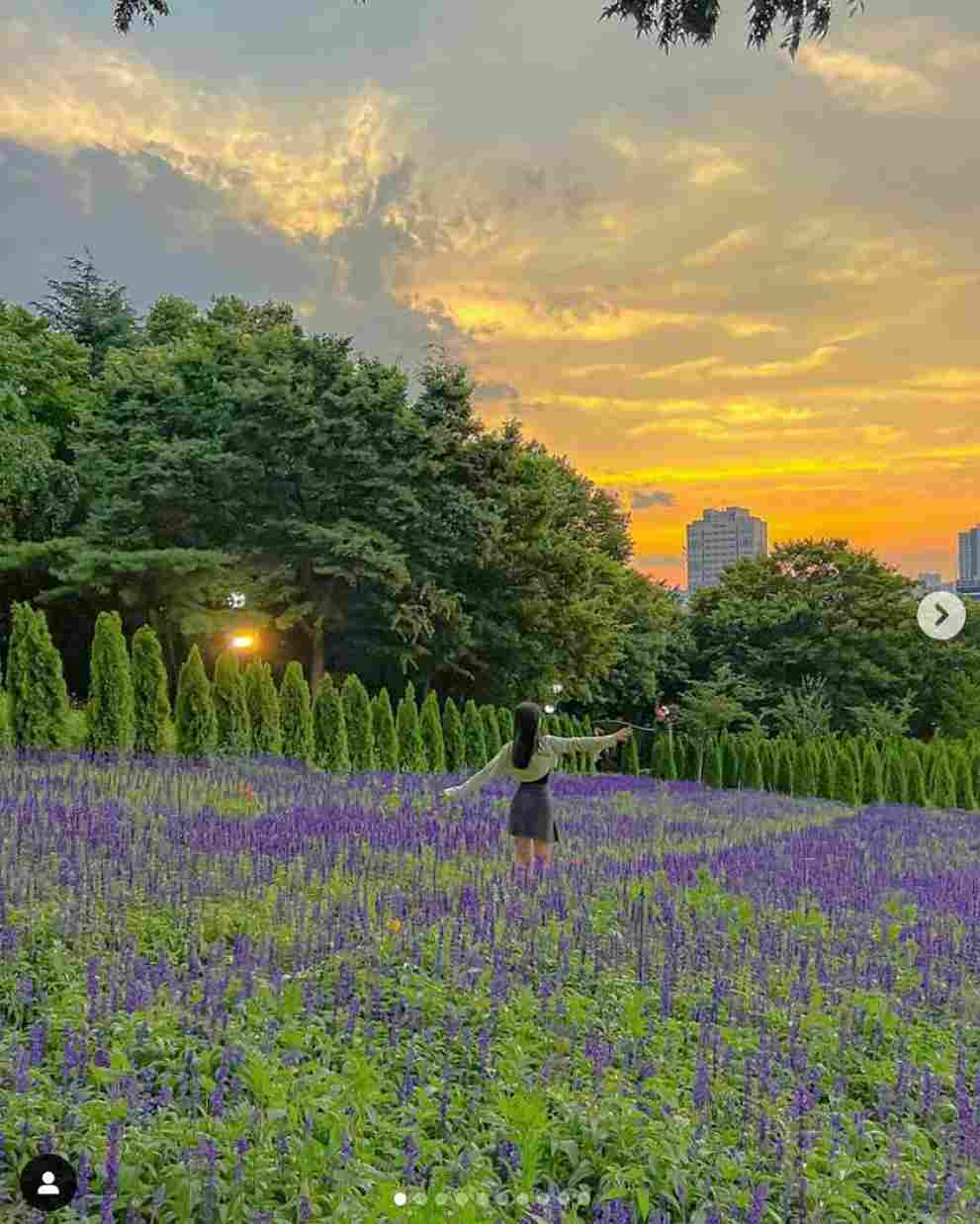 이월드 수국 포레스트 가든
