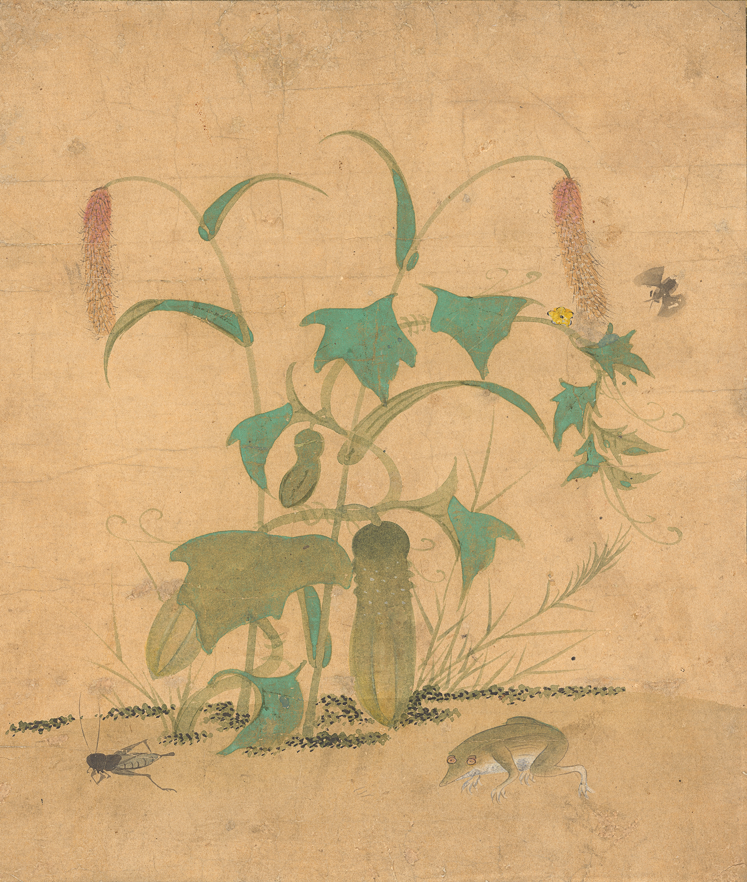 신사임당필 초충도(傳申師任堂筆草蟲圖)