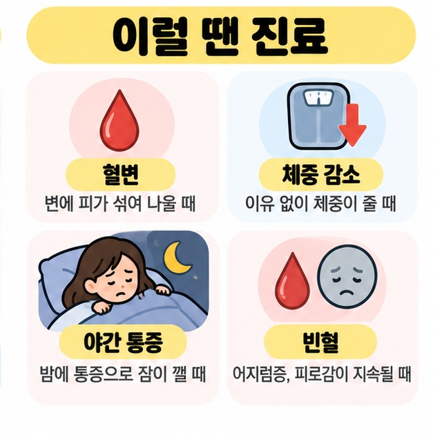 혈변, 체중 감소, 야간 통증, 빈혈이 있을 때 진료가 필요하다는 경고 신호를 정리한 카드