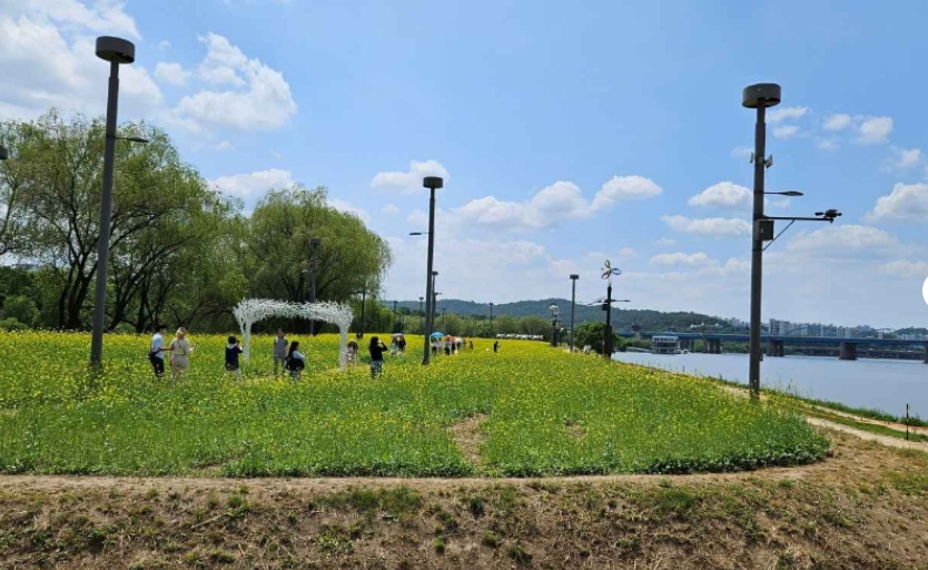 2024년 한강서래섬