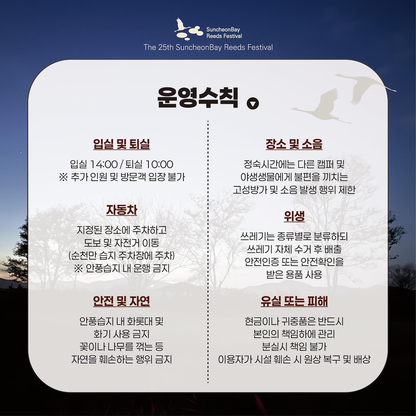백패커의 밤