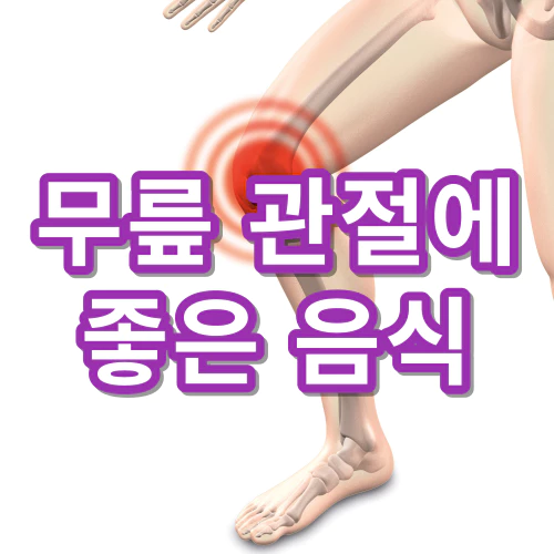 무릎-관절에-좋은-음식-건강