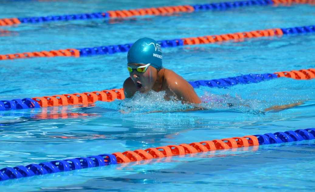 수영 다이어트 사진