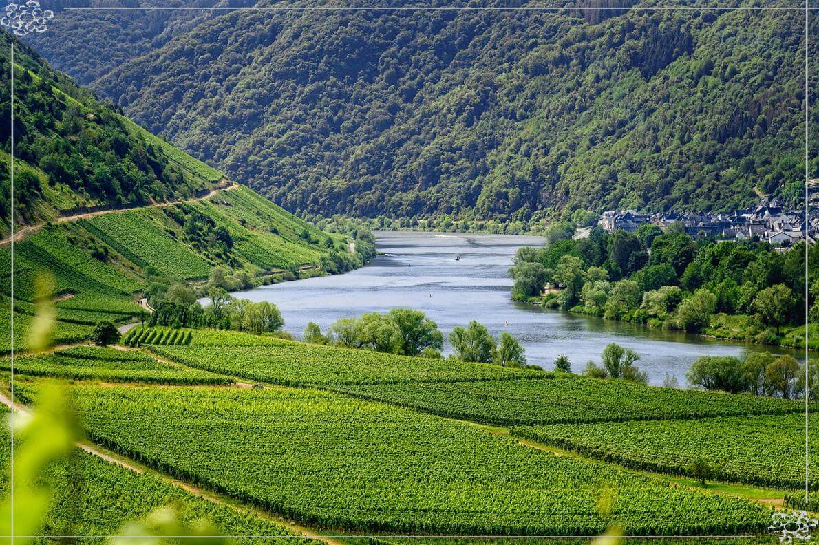 8월 국내여행 계곡