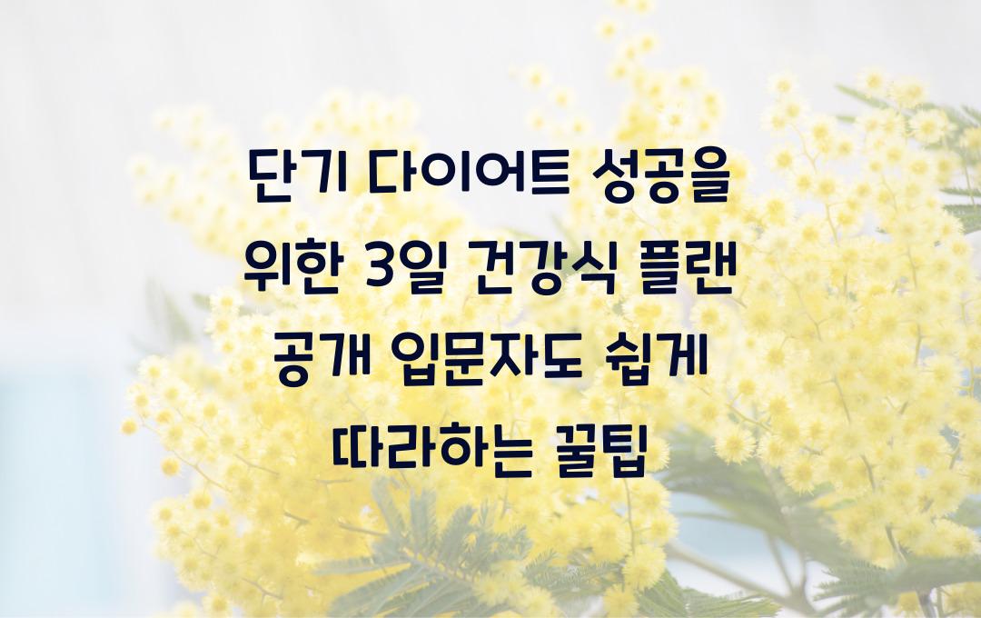 단기 다이어트 성공을 위한 3일 건강식 플랜 공개