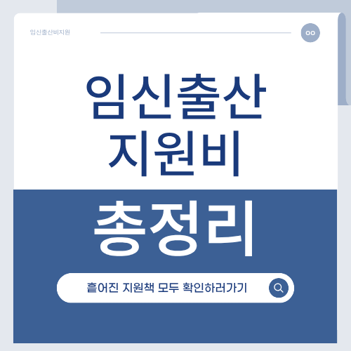 난임부부 지원정책