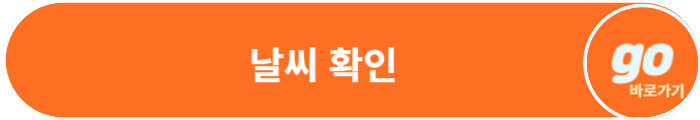 장마철 차량 관리 및 침수 챠량 대비