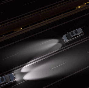 카니발 하이브리드