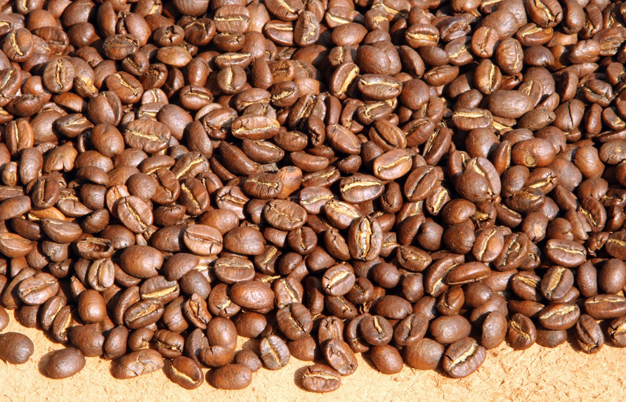 커피 원두
