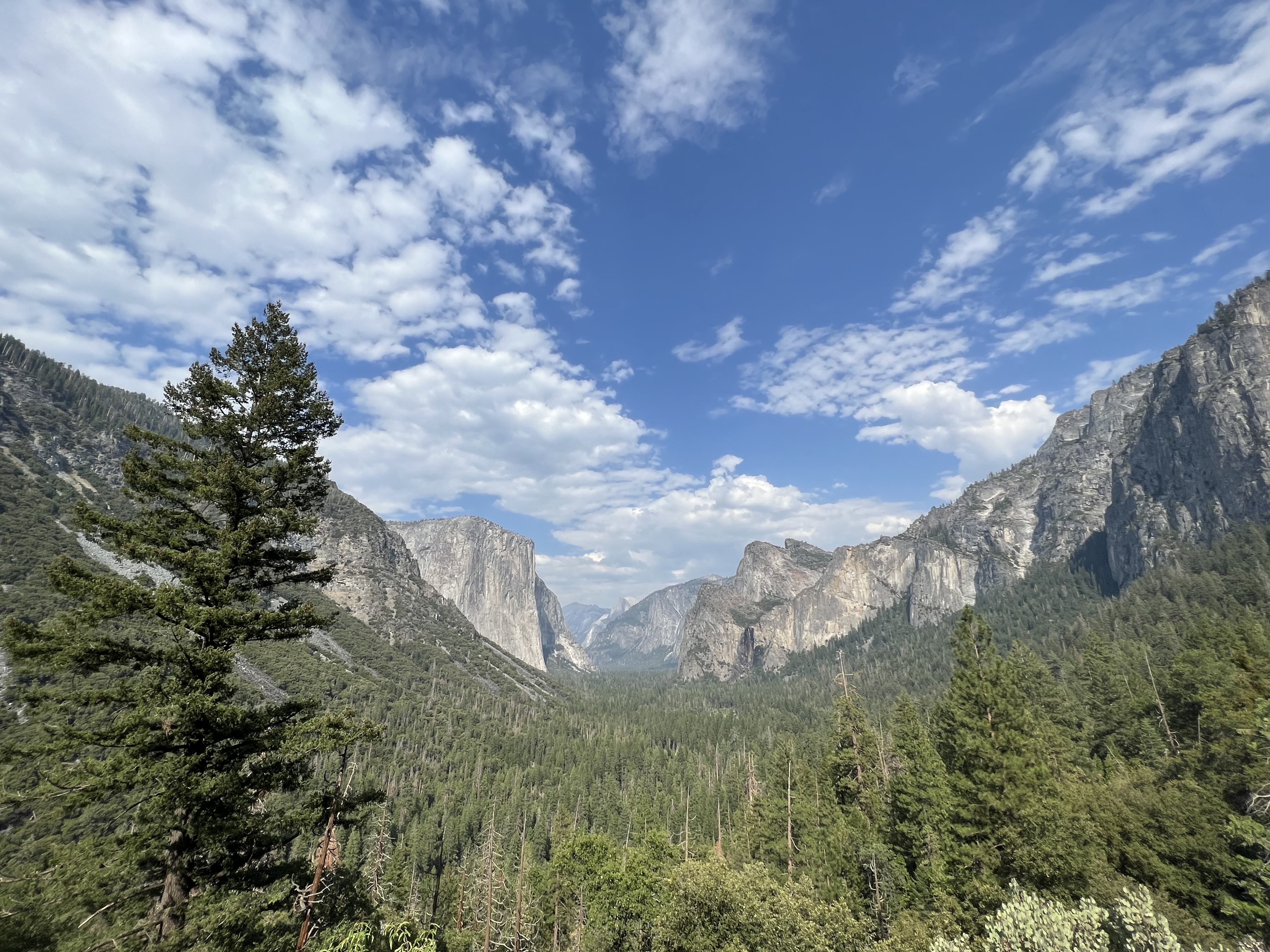 요세미티 터널 뷰