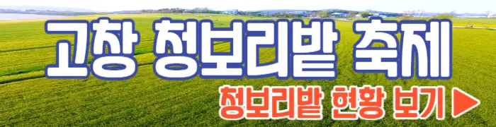 고창 청보리밭 축제 현황