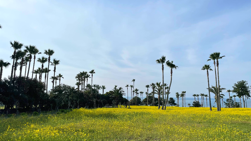 중문 미라지 초입2