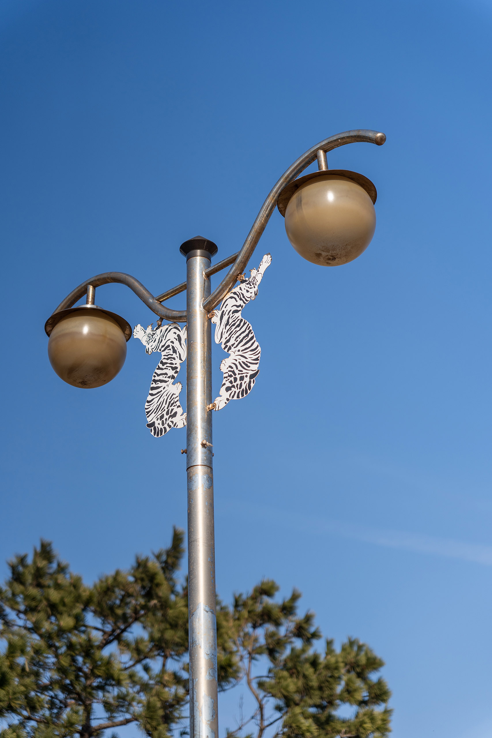 호미곶 새천년 광장